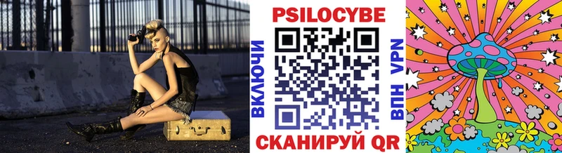 наркота  Калач-на-Дону  Галлюциногенные грибы Psilocybine cubensis 